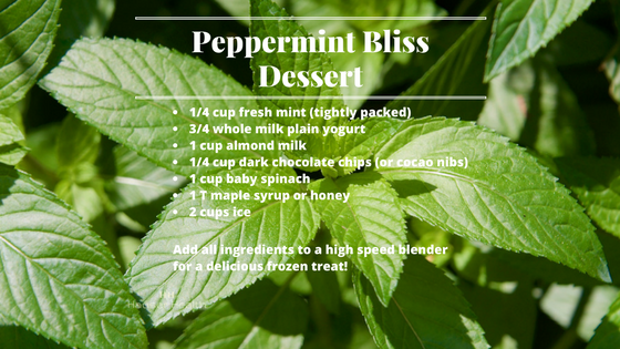 Peppermint Bliss Dessert Recipe